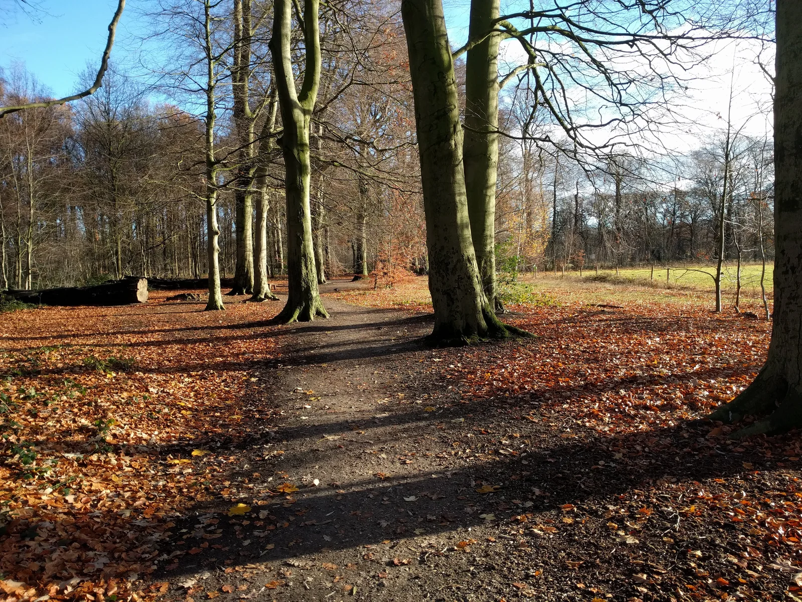 Park Schothorst — romantic guide Amersfoort