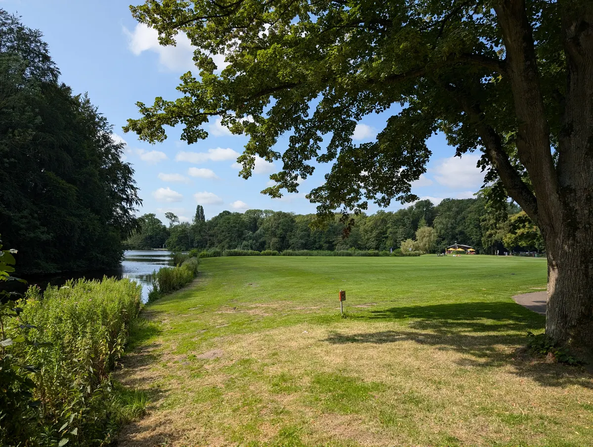 Amsterdam Forest โ family guide Amsterdam