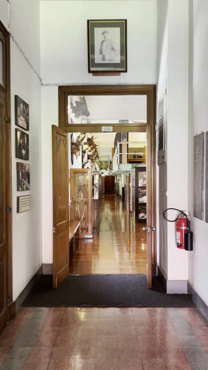 Interior at Chulalongkorn University Museum of Natural History Bangkok — travel photo