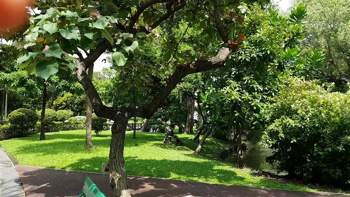 Atmosphere at Saranrom Park Bangkok — travel photo