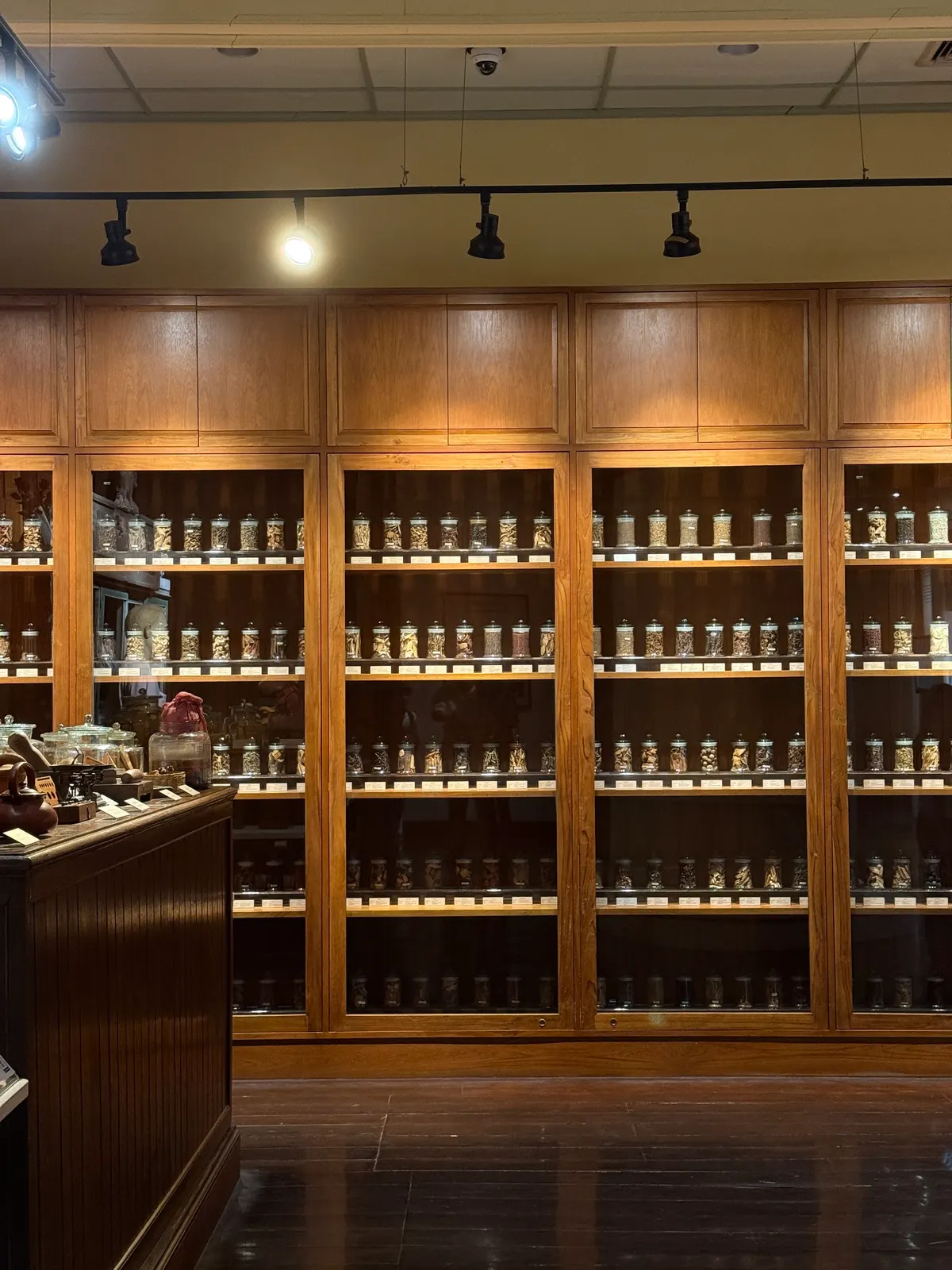 Siriraj Medical Museum
