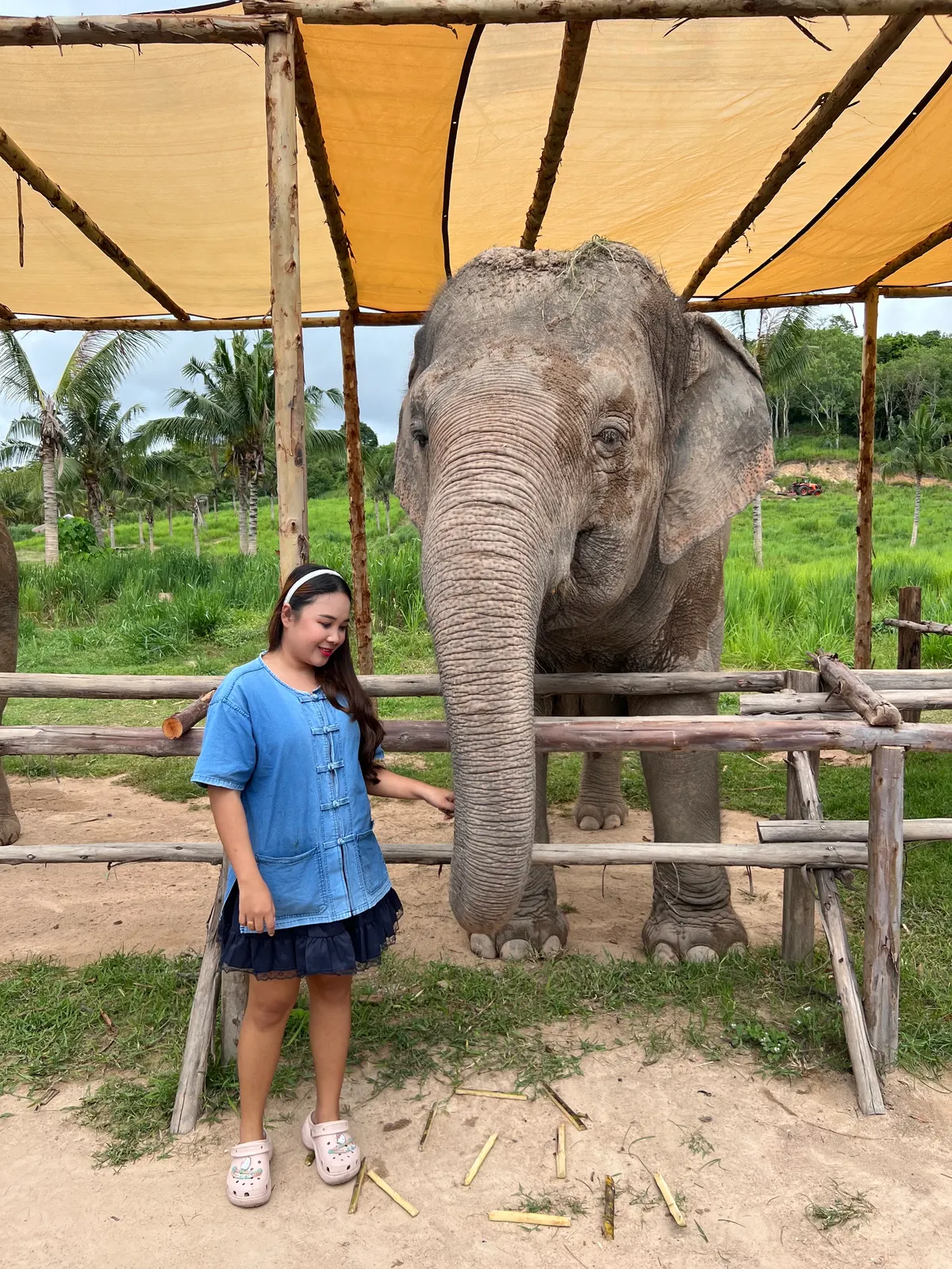Bangkok Ethical Elephant Tour (Living Green Elephant Sanctuary)