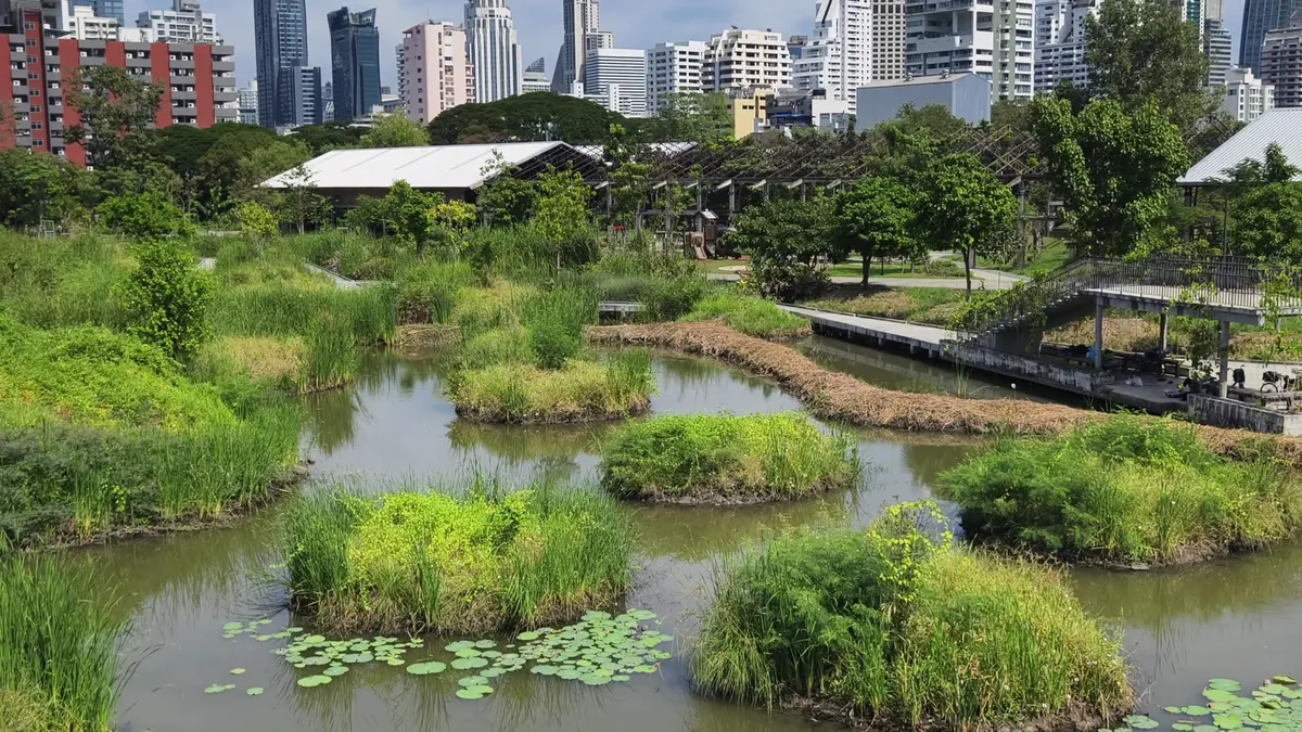 Details at Benchakitti-Lumpini Park, Treetop Walk Bridge Bangkok — travel photo