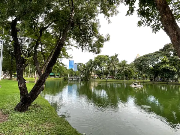 Details at Lumphini Park Bangkok — travel photo