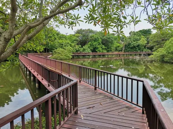 Atmosphere at Sri Nakhon Khuean Khan Park and Botanical Garden Bangkok — travel photo