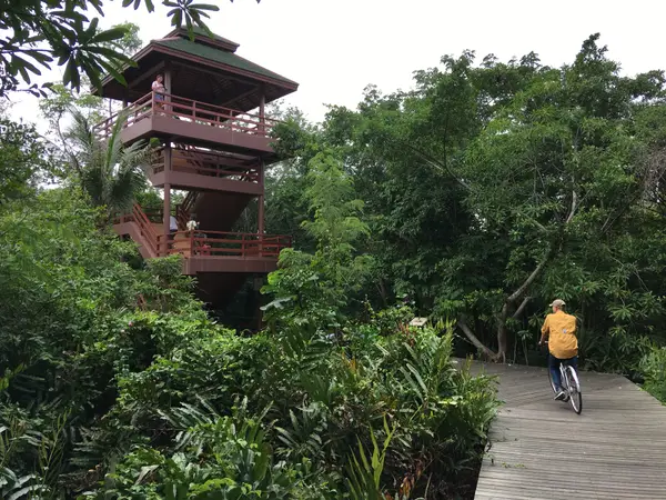 Around the area at Sri Nakhon Khuean Khan Park and Botanical Garden Bangkok — travel photo