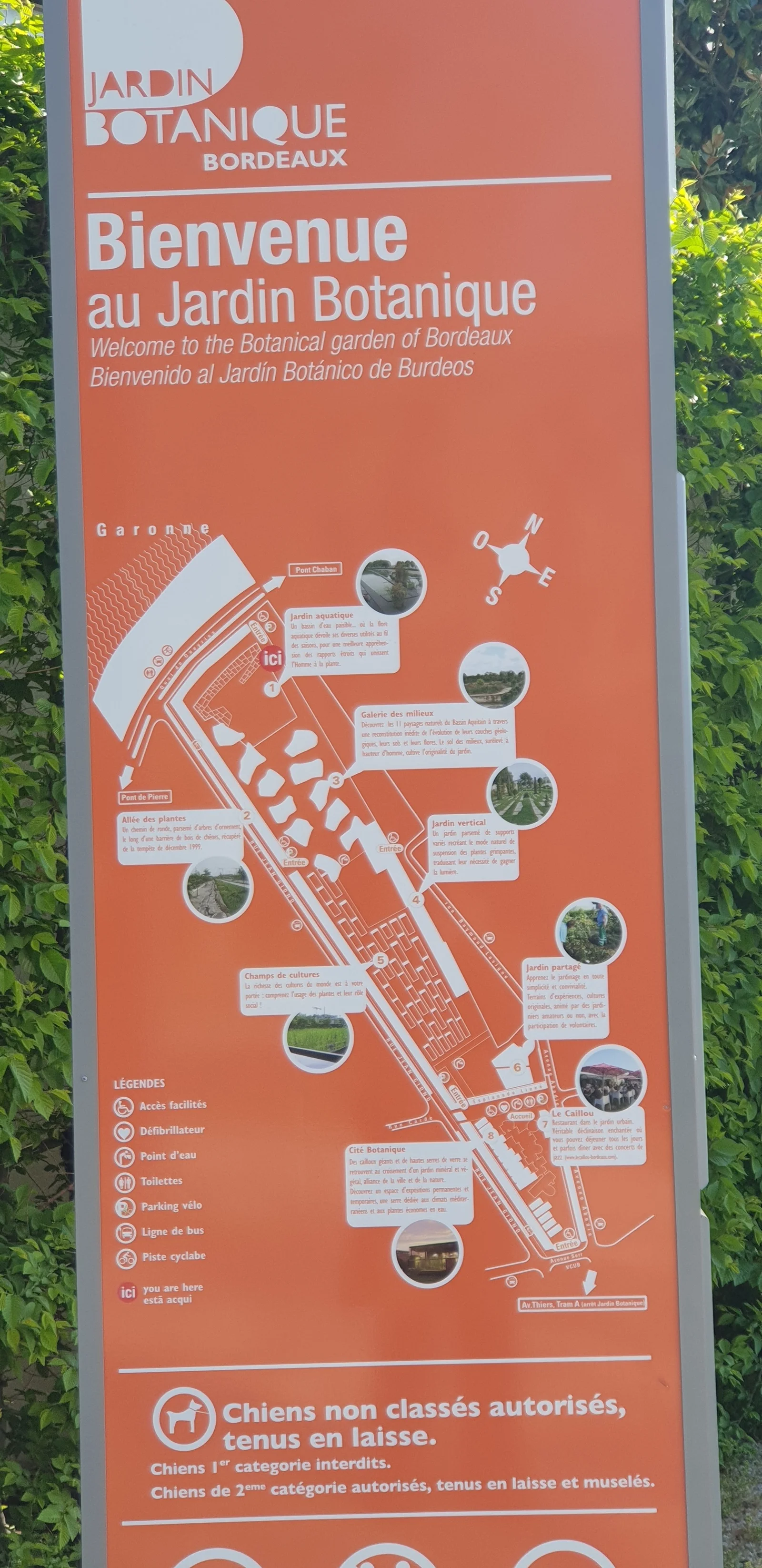 Outdoor views at Parc aux Angéliques Bordeaux — family travel photo