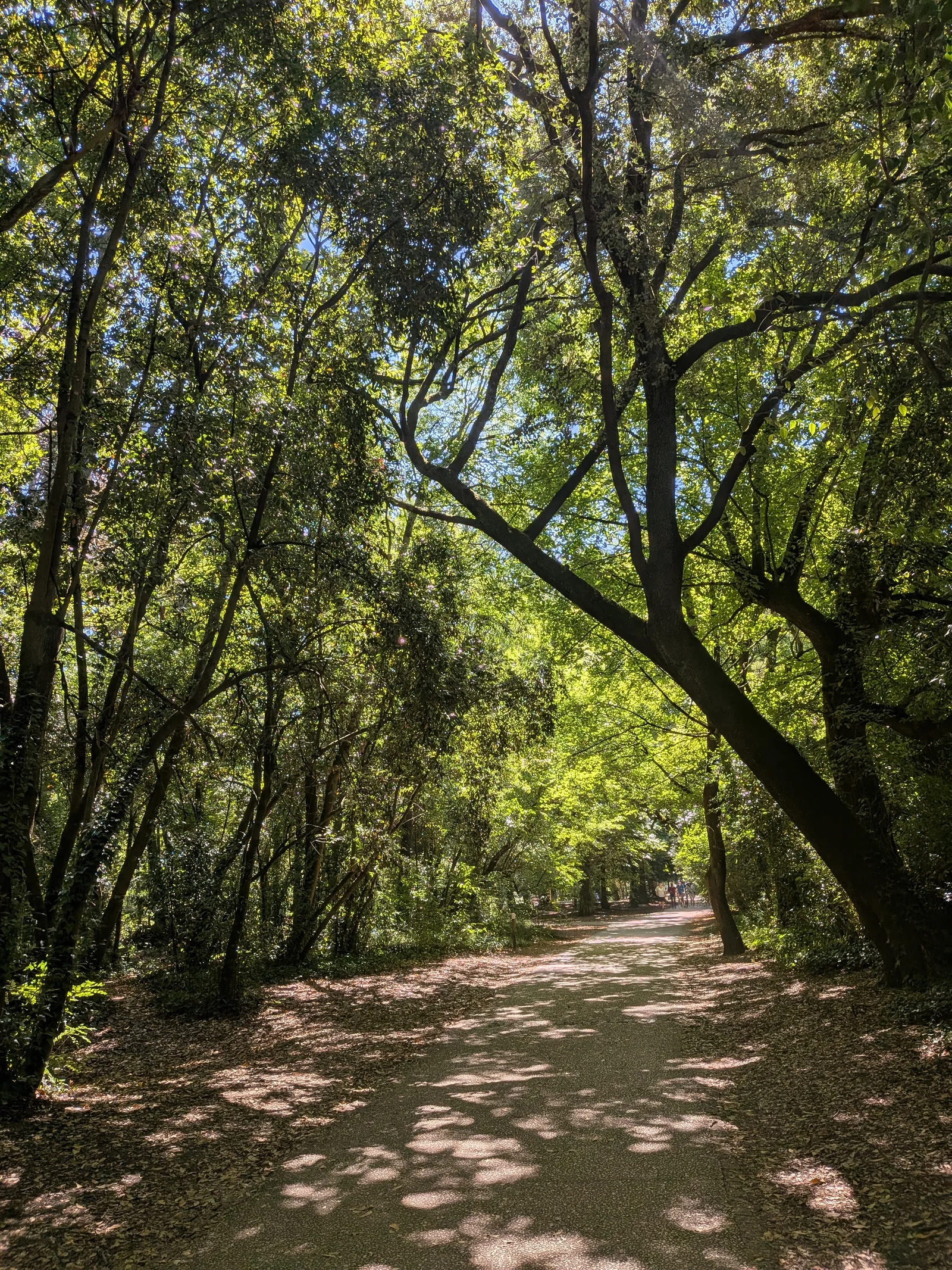 Kids activities at Parc de Bourran Bordeaux — family travel photo