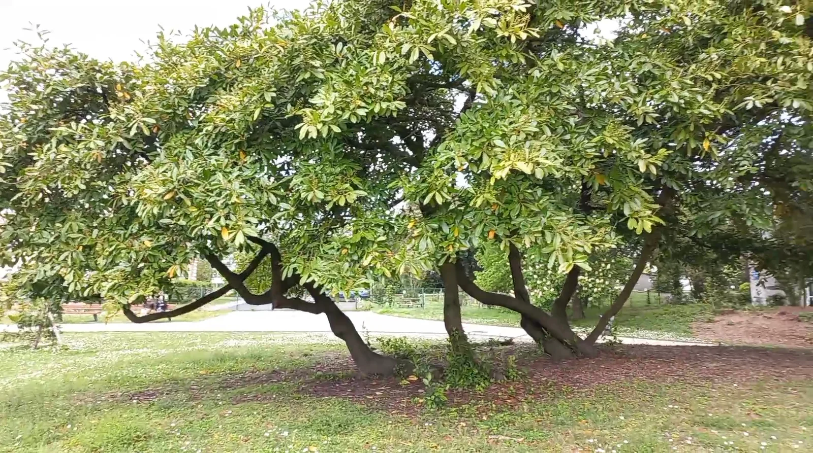 Family areas at Parc de Bourran Bordeaux — family travel photo