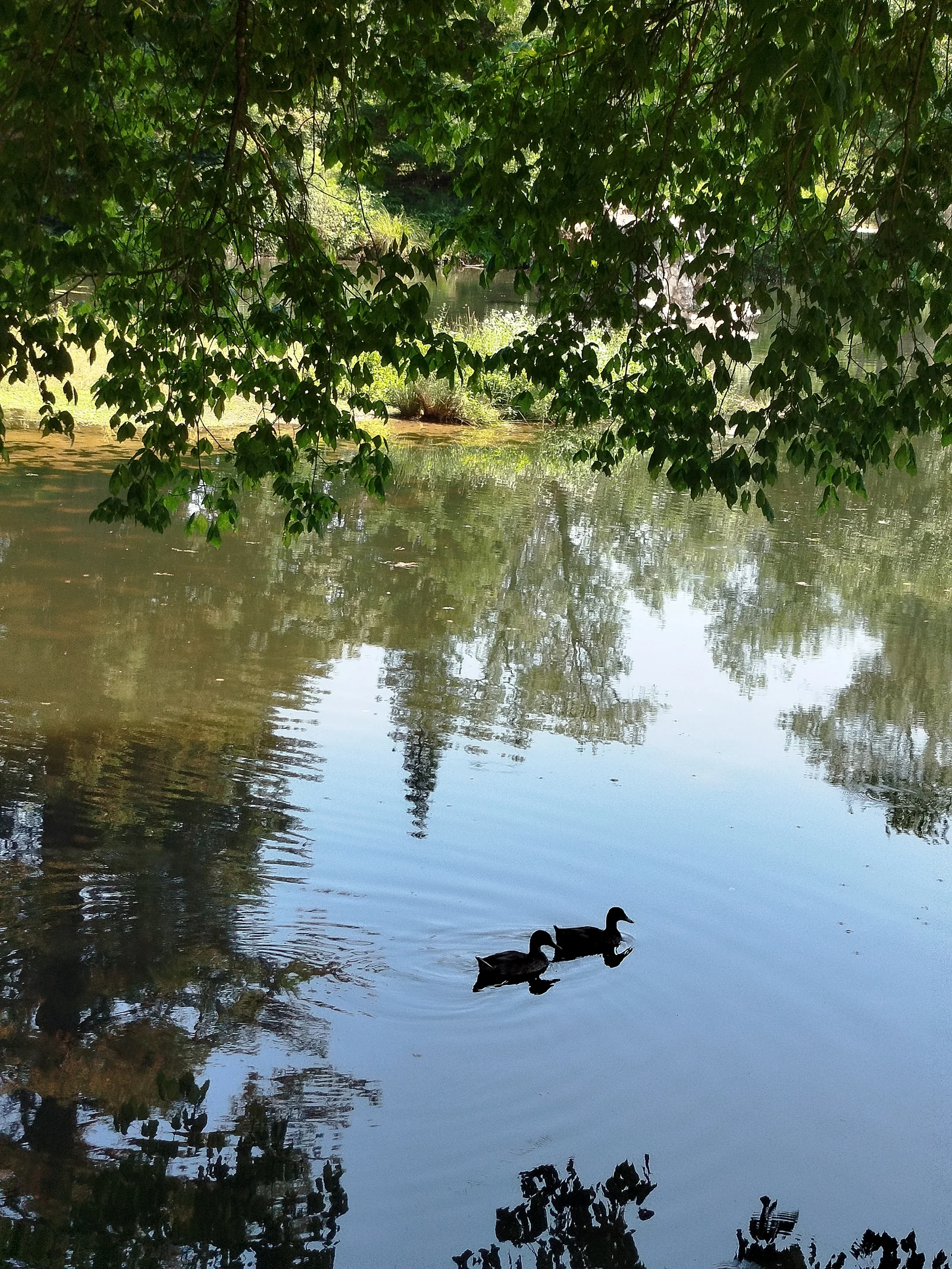 Kids activities at Parc Majolan Bordeaux — family travel photo