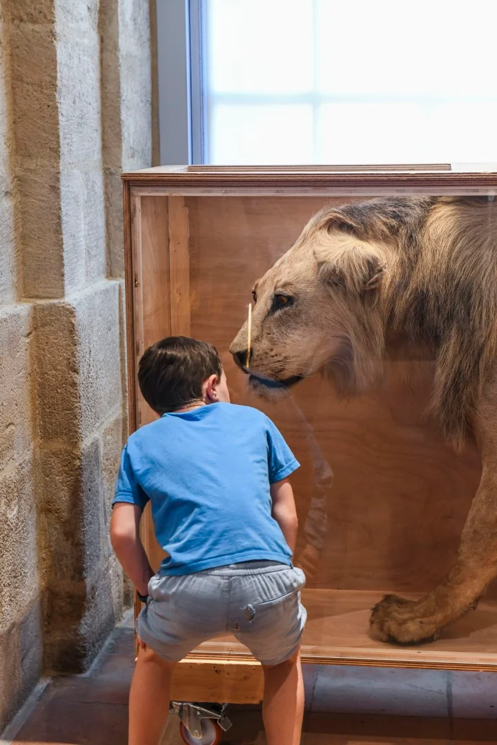 Outdoor views at Musée National des Douanes Bordeaux — family travel photo