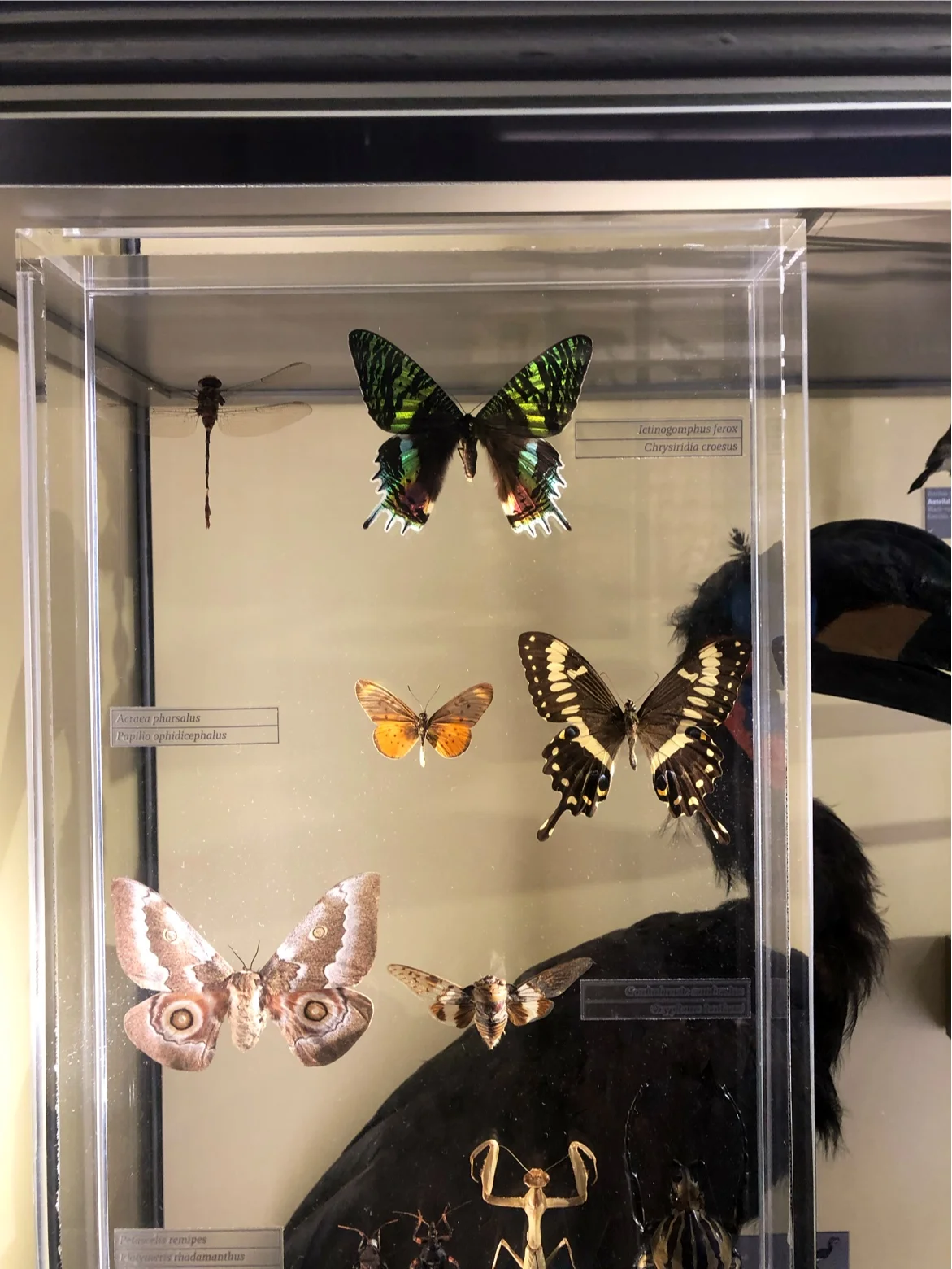 Kids activities at Muséum de Bordeaux Bordeaux — family travel photo