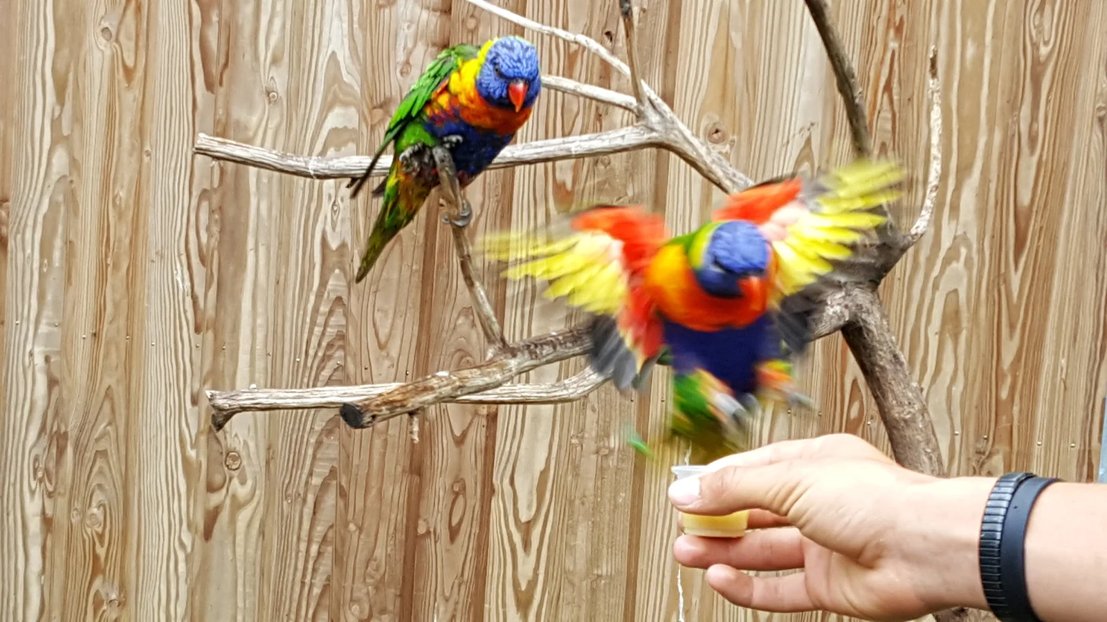 Outdoor views at Zoo de Bordeaux-Pessac Bordeaux — family travel photo