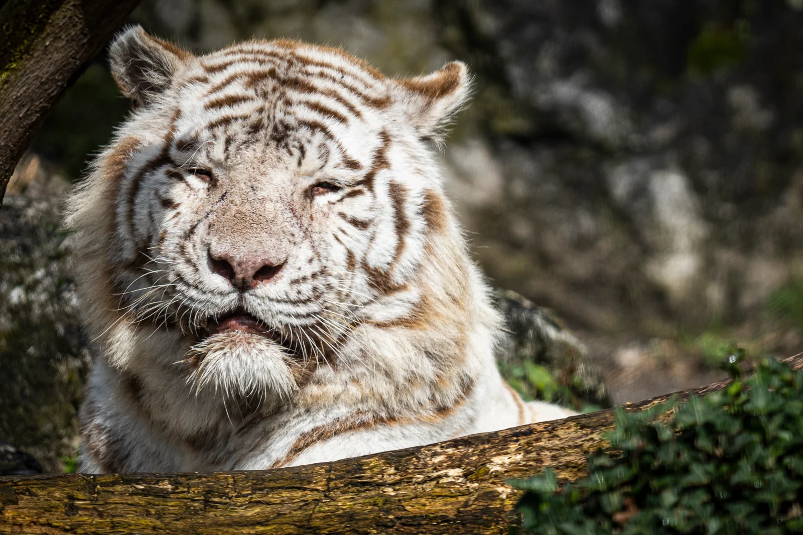 Interactive zones at Zoo de Bordeaux-Pessac Bordeaux — family travel photo
