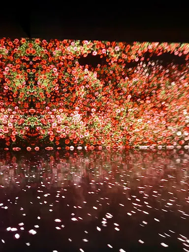 Around the area at ARTE MUSEUM DUBAI Dubai — travel photo