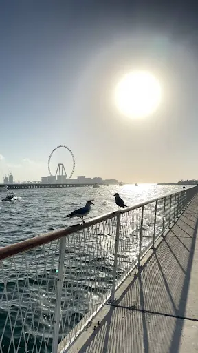 Details at Dubai Harbour • View Point Dubai — travel photo