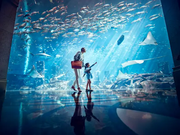 Details at Lost World Aquarium at Aquaventure World Dubai — travel photo
