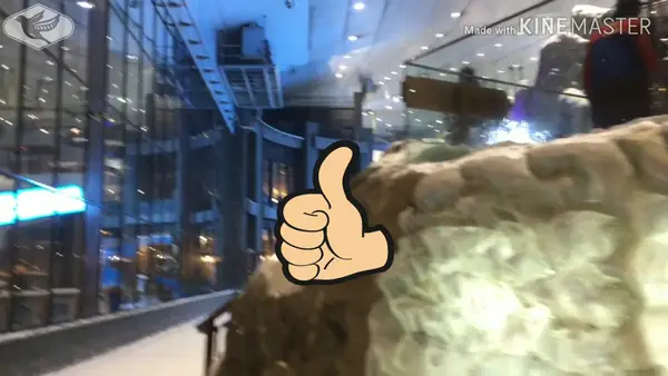 Atmosphere at Ski Dubai Dubai — travel photo