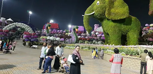 Details at Dubai Miracle Garden Dubai — travel photo