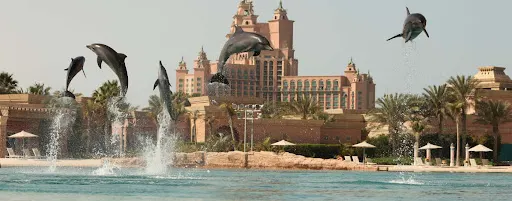 Atmosphere at Sea Lion Point at Aquaventure World Dubai — travel photo