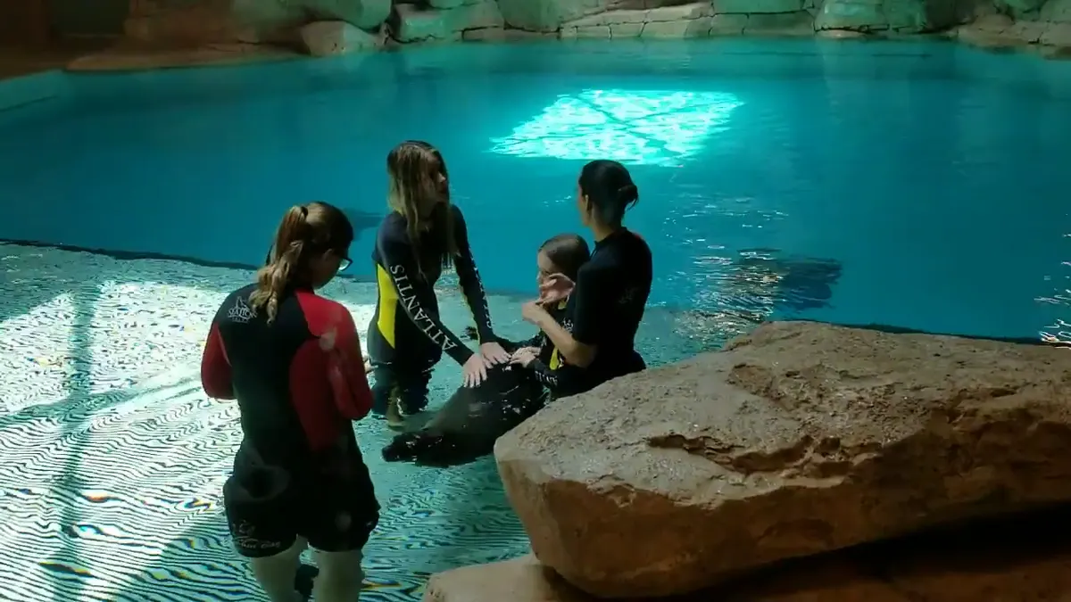 Around the area at Sea Lion Point at Aquaventure World Dubai — travel photo