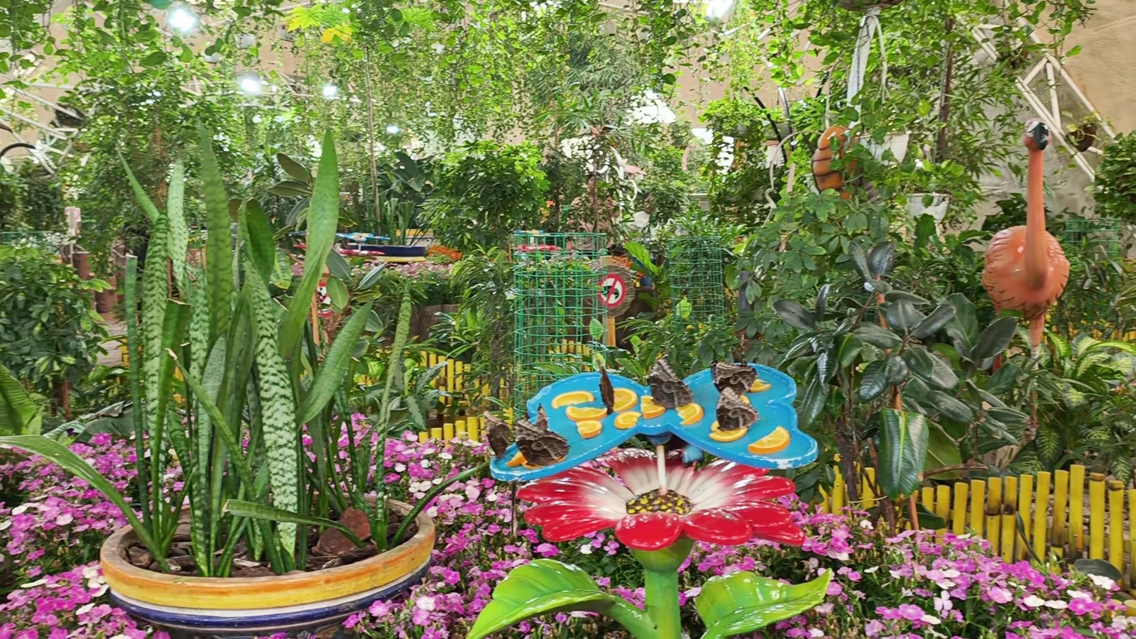 Details at Dubai Butterfly Garden Dubai — travel photo