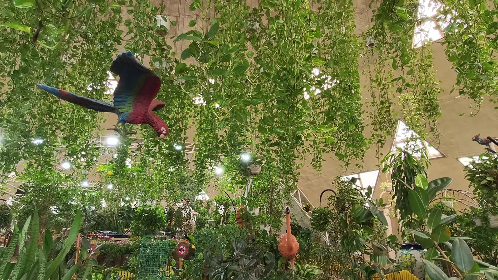 Around the area at Dubai Butterfly Garden Dubai — travel photo