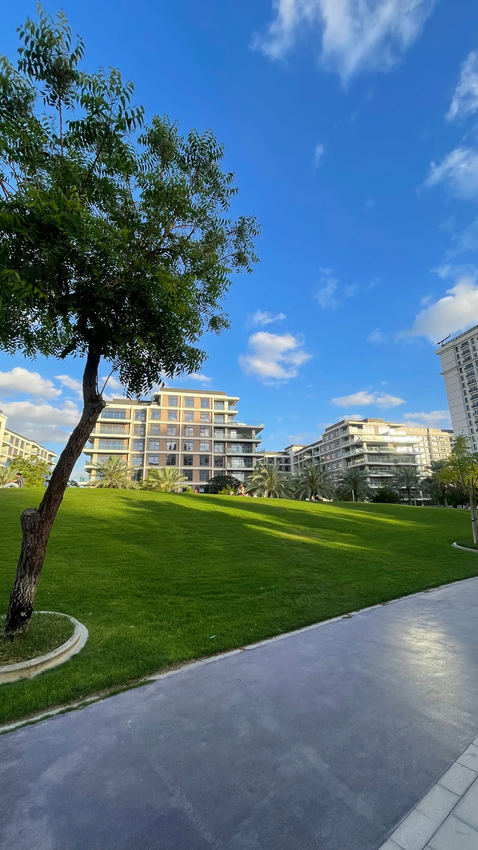Details at Dubai Hills Park - Emaar Dubai — travel photo