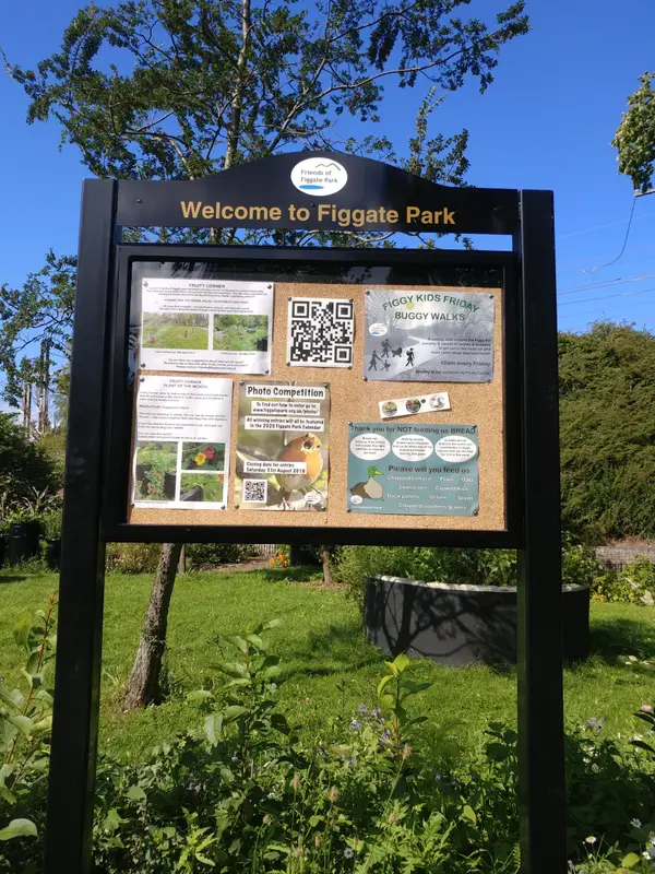 Atmosphere at Figgate Park Edinburgh — travel photo