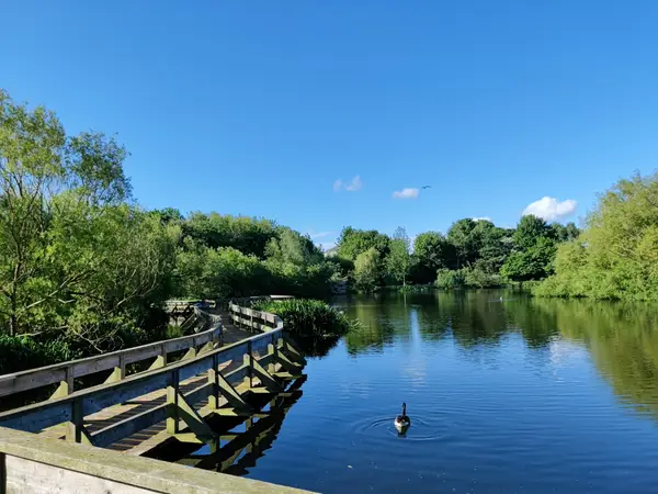Around the area at Figgate Park Edinburgh — travel photo