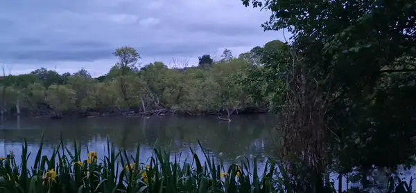Interior at Lochend Park Edinburgh — travel photo