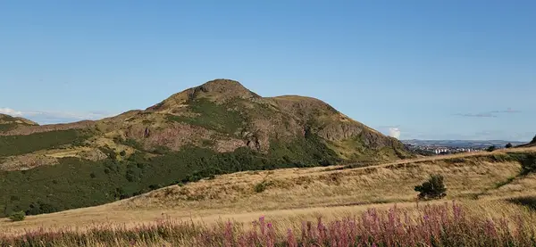 Details at Arthur's Seat Edinburgh — travel photo
