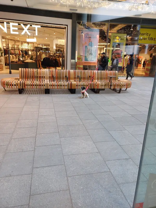 Around the area at St James Quarter Edinburgh — travel photo