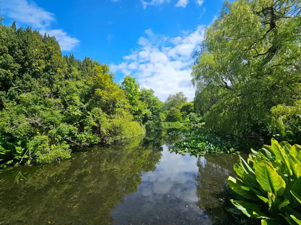 Around the area at Royal Botanic Garden Edinburgh Edinburgh — travel photo