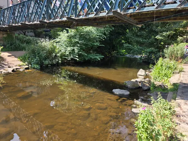 Interior at Water of Leith Path Edinburgh — travel photo