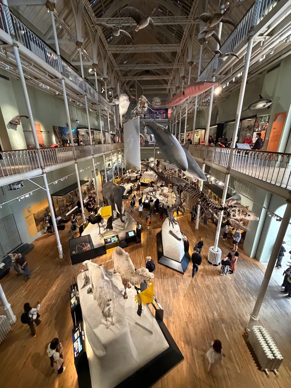 National Museum of Scotland