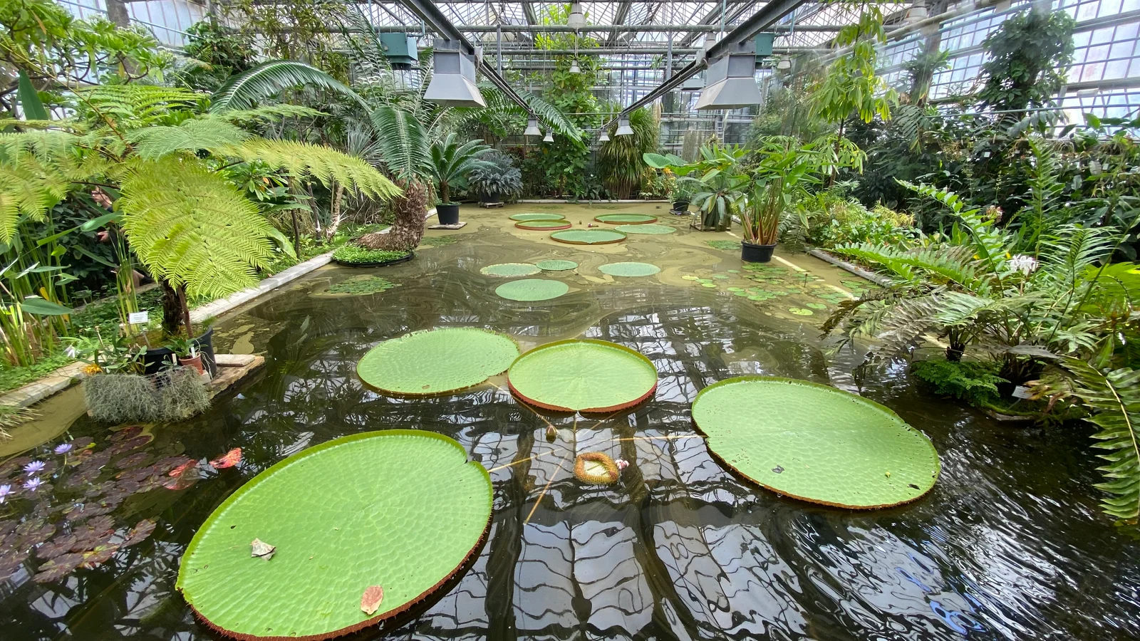 Universiteit Gent - Botanical Garden