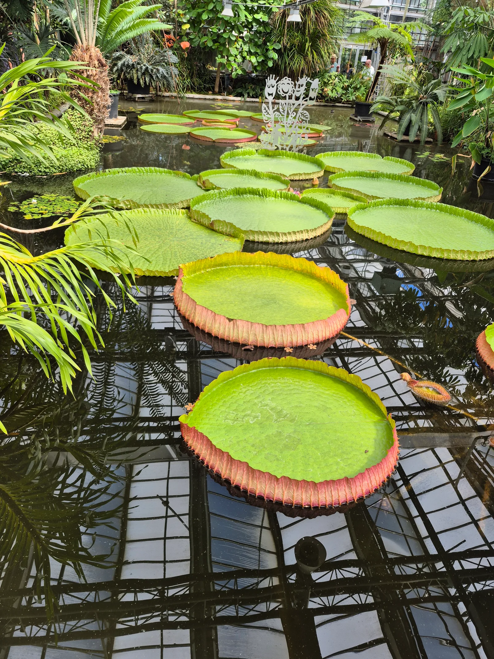 Kids activities at GUM - Gents Universiteitsmuseum & Plantentuin Ghent — family travel photo