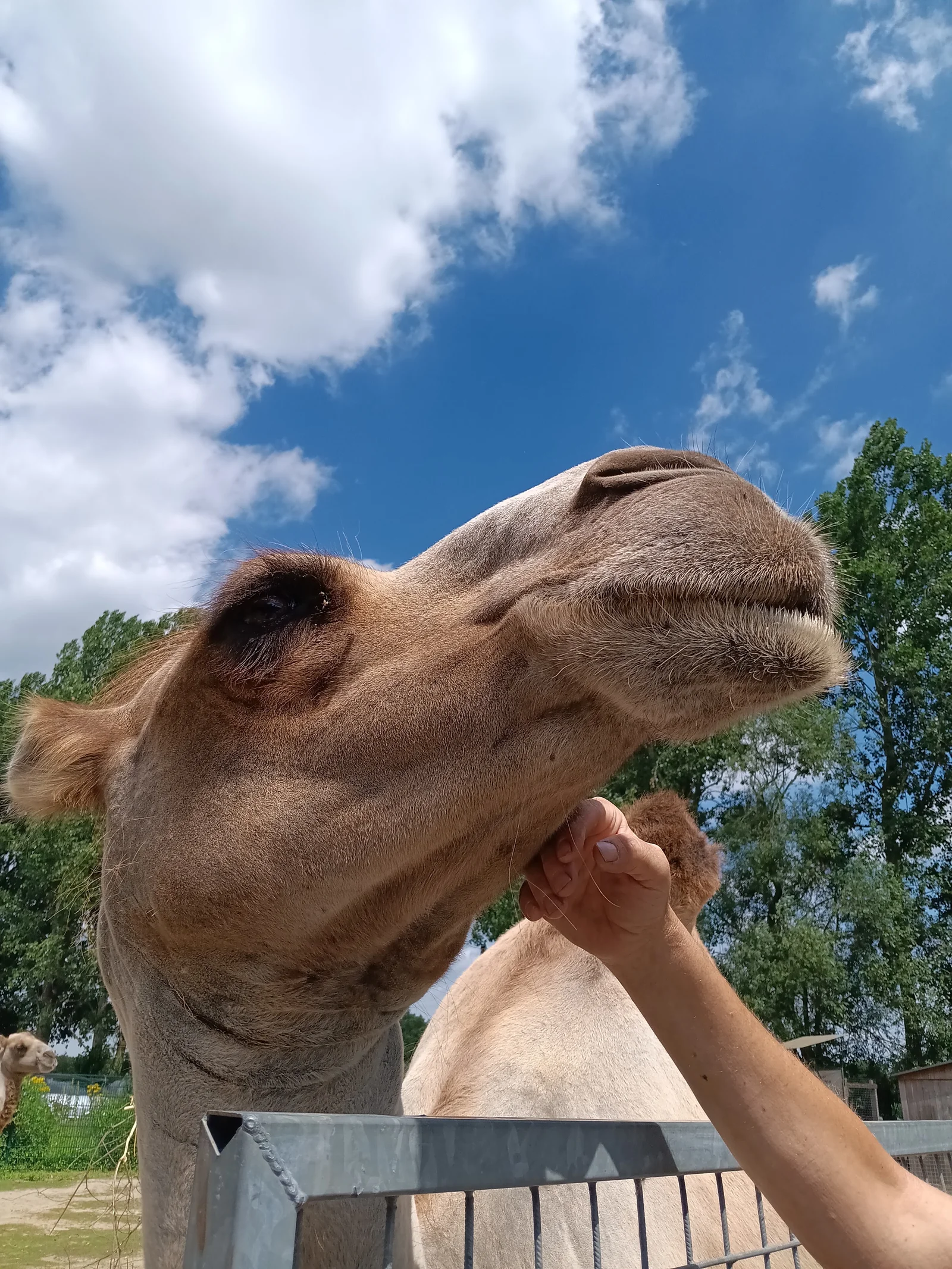 Kids activities at Harry Malter Family Park Ghent — family travel photo