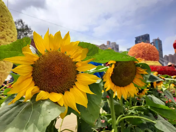 Around the area at Victoria Park Hong Kong — travel photo