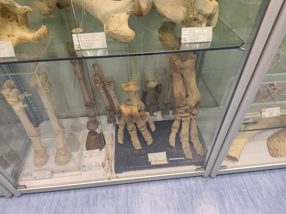 Hong Kong Biodiversity Museum β hidden gems guide Hong Kong