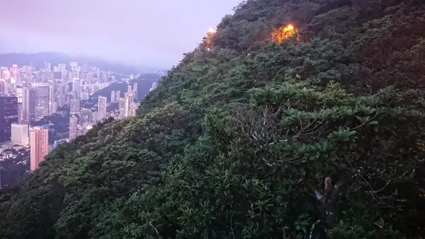Details at Lugard Road Lookout Hong Kong — travel photo