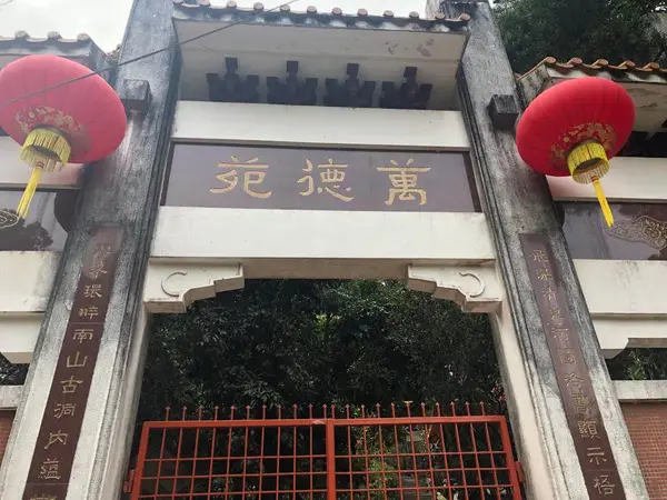 Details at Ng Tung Chai Waterfall Hong Kong — travel photo