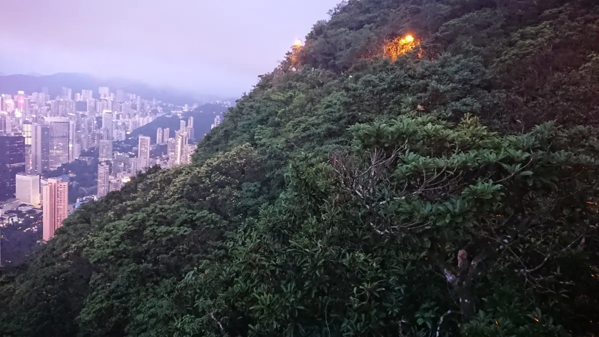 Interior at Lugard Road Lookout Hong Kong — travel photo