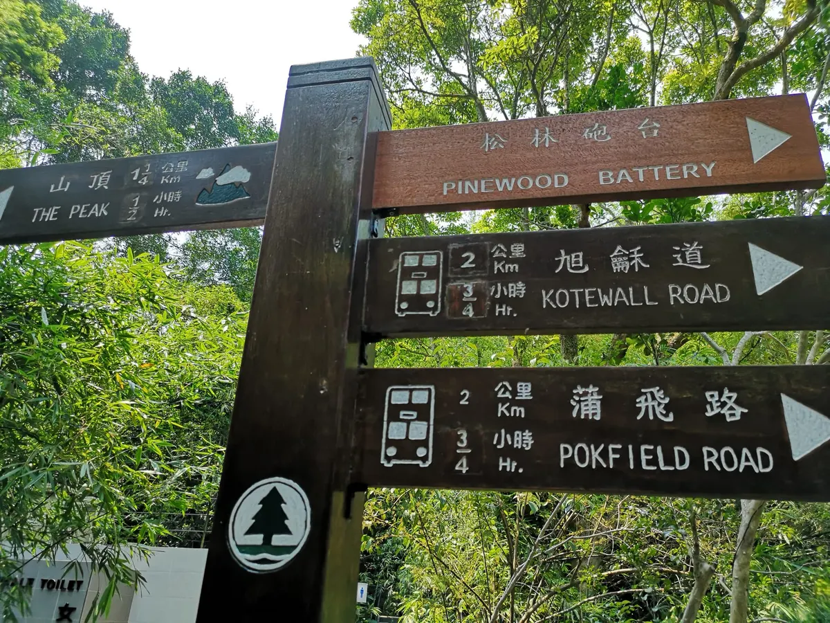 Lung Fu Shan Morning Trail
