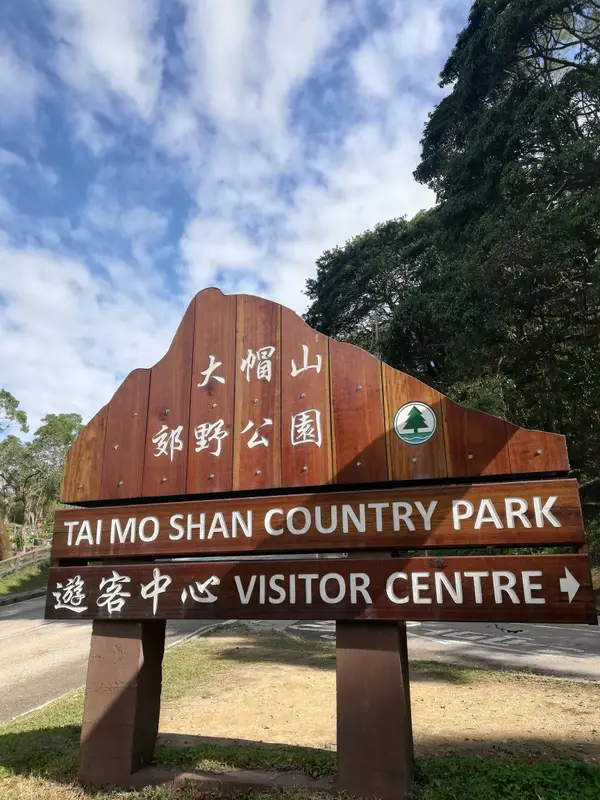 Details at Tai Mo Shan Country Park Hong Kong — travel photo