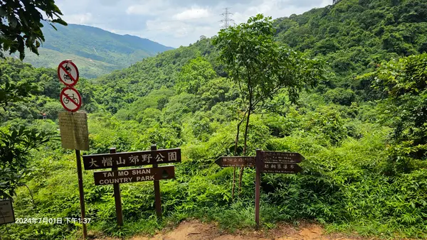 Around the area at Tai Mo Shan Country Park Hong Kong — travel photo