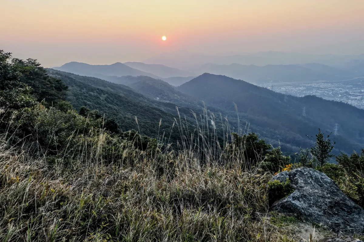 Tai Mo Shan Country Park