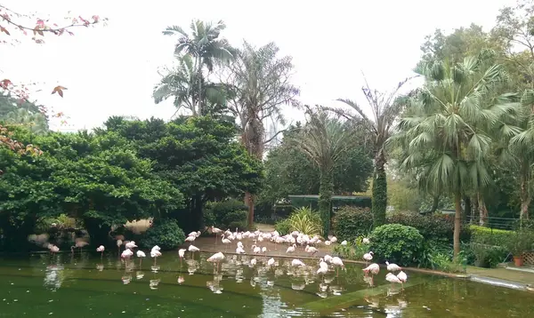 Around the area at Hong Kong Heritage Discovery Centre Hong Kong — travel photo