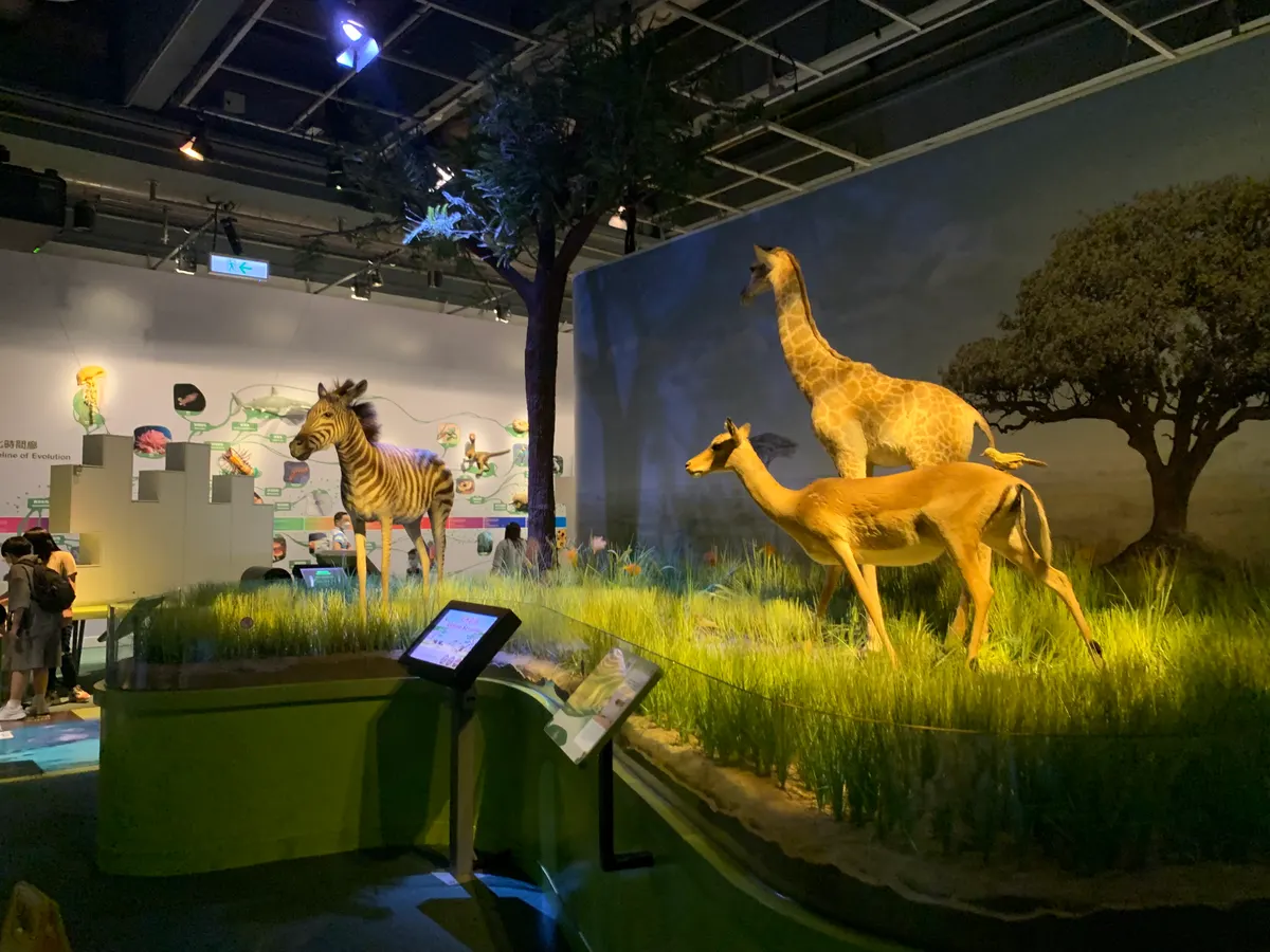 Hong Kong Science Museum